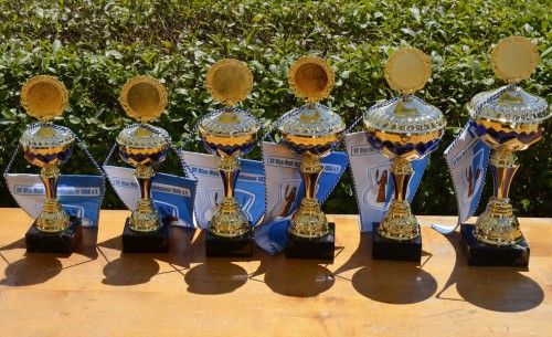 Sehr gut besetztes E-Jugendturnier  am 21.06.2014 10.00 Uhr