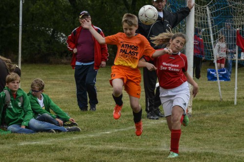 E-Jugendturnier 2014