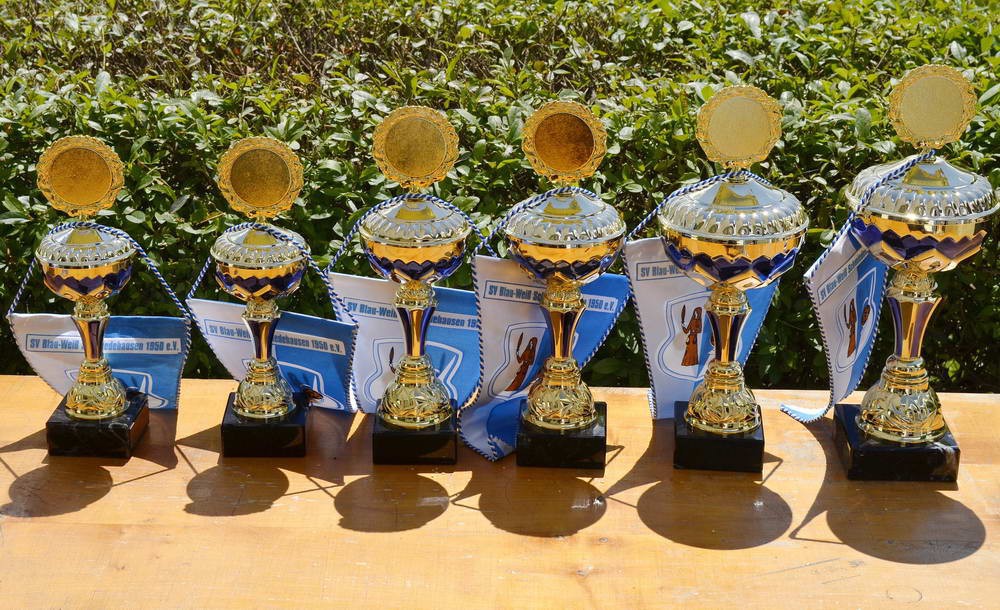 D-Jugendturnier Samstag, den 18.06.2016 ab 10.00 Uhr