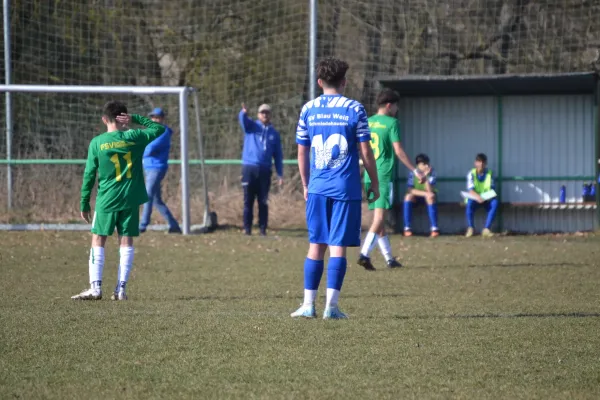 09.03.2025 Ilmtal Zottelstedt vs. Schmiedehausen 1950