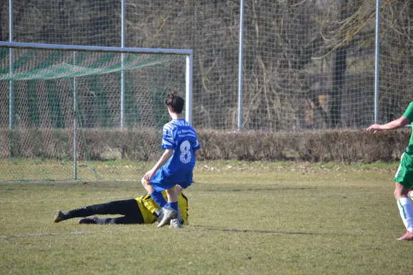09.03.2025 Ilmtal Zottelstedt vs. Schmiedehausen 1950