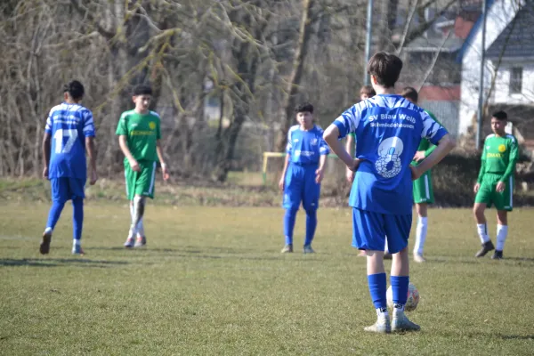 09.03.2025 Ilmtal Zottelstedt vs. Schmiedehausen 1950