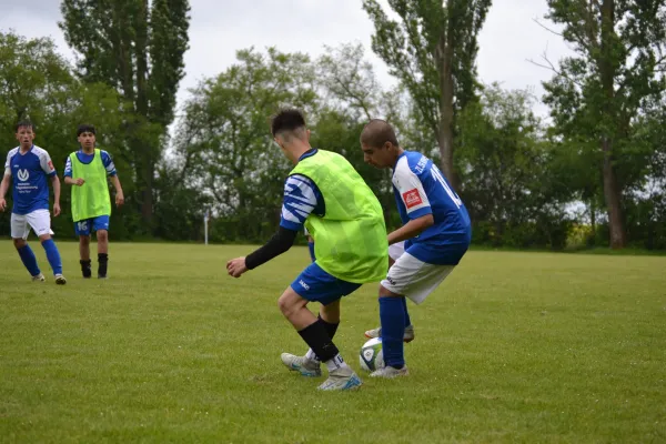 25.05.2025 Schmiedehausen 1950 vs. BSC Aufbau Apolda