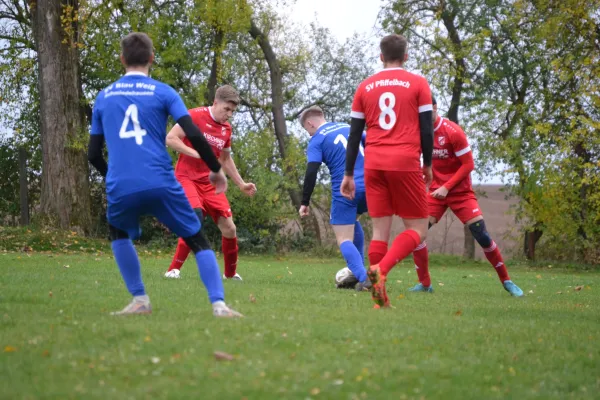 02.11.2025 Schmiedehausen 1950 vs. SV Pfiffelbach