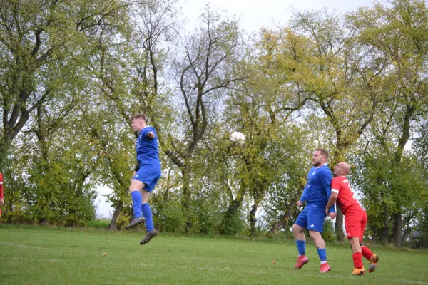 02.11.2025 Schmiedehausen 1950 vs. SV Pfiffelbach