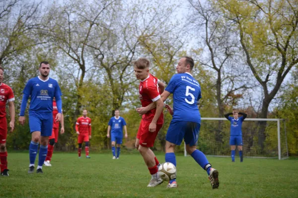 02.11.2025 Schmiedehausen 1950 vs. SV Pfiffelbach