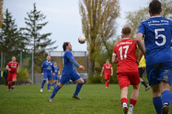 02.11.2025 Schmiedehausen 1950 vs. SV Pfiffelbach