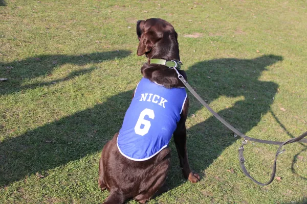 22.03.2026 Schmiedehausen 1950 vs. FC Empor Weimar II